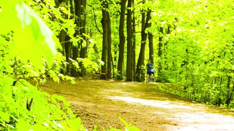 Summer park with people Stock Footage 39057523