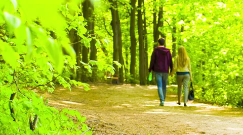Summer park with people Stock Footage 39057608