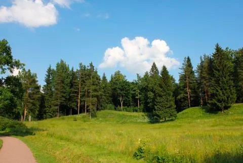 Summer park Stock Photos