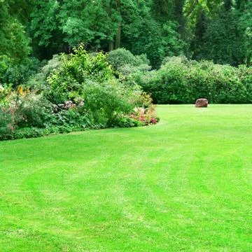 Summer park Stock Photos