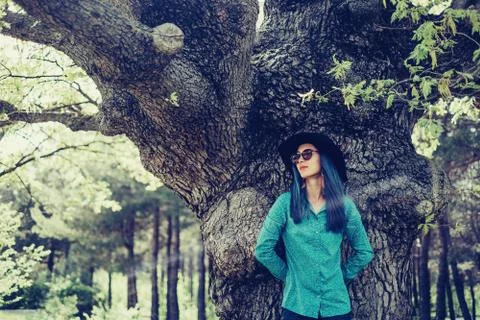 In summer park Stock Photos