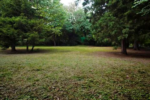 Summer park Stock Photos