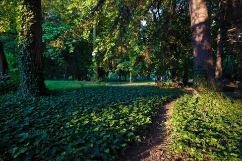 Summer park Foto stock