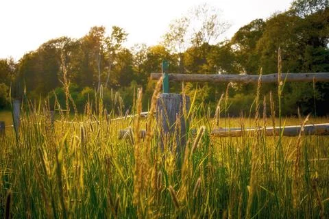 Summer pasture with a paddock in the foreground Stock Photos
