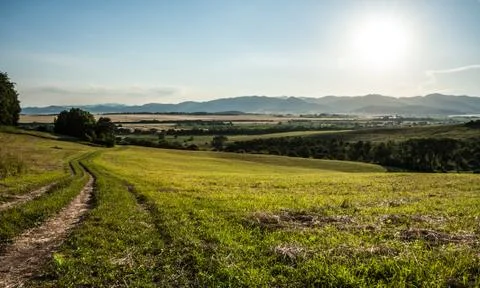 Summer path meadow Stock Photos