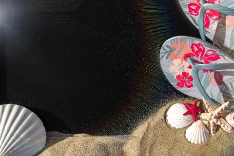 Summer pattern background. Starfish, seashells, toy plane and globe near blac Stock Photos