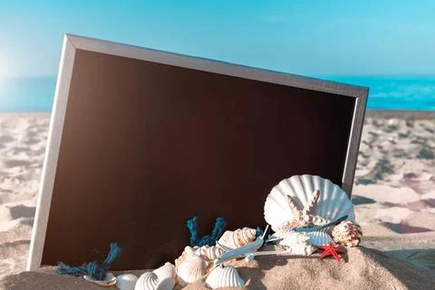 Summer pattern background. Starfish, seashells, toy plane and globe near blac Stock Photos