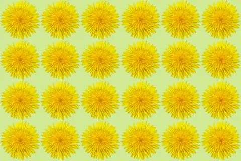 Summer pattern of blooming head of dandelion on green Stock Illustration