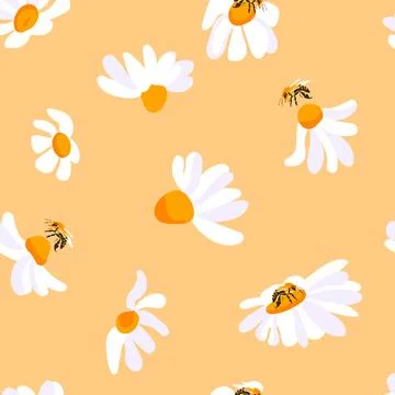 Summer pattern daisy bee yellow background. Insect white flowers decorative Stock Illustration