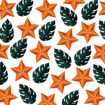 Summer pattern with tropical leafs plants and starfishes Stock Illustration