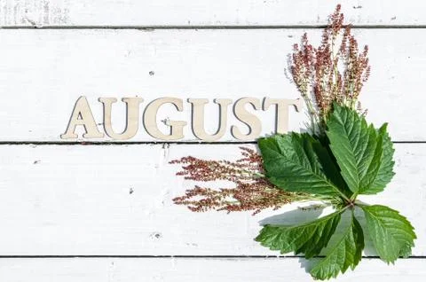 Summer pattern: Word August and green leaves on a white wooden rustic backgro Stock Photos