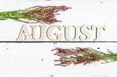 Summer pattern: Word August and green leaves on a white wooden rustic backgro Stock Photos