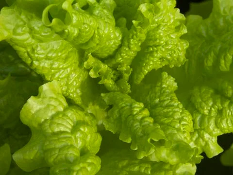 Summer 스톡 사진