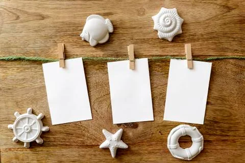 Summer 스톡 사진