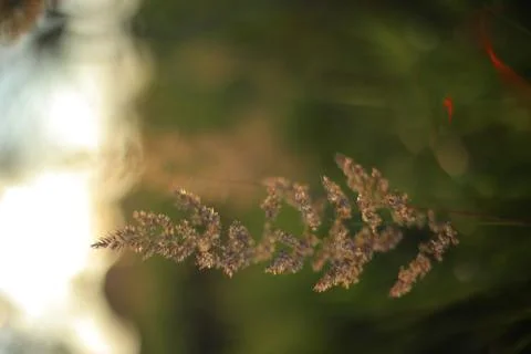 Summer 스톡 사진