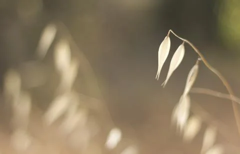 Summer Fotos de archivo