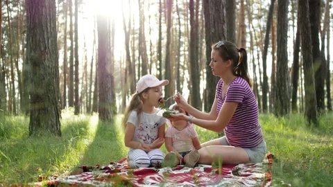 Summer picnic during sunset. Stock-Footage 133091623