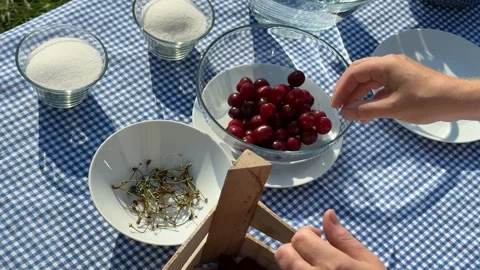 Summer Picnic Essentials Stock Footage 313364109
