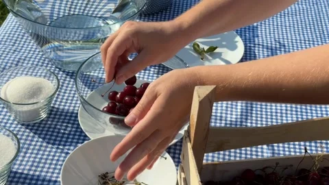 Summer Picnic Preparation Stock Footage 313364160