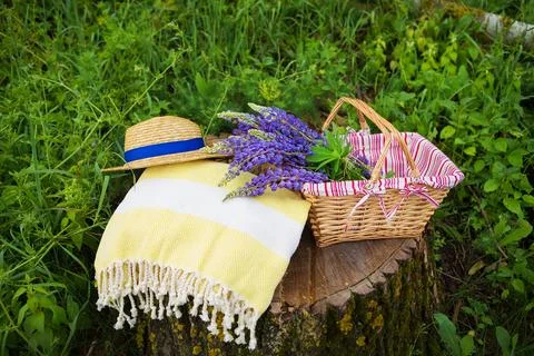 A summer picnic scene with a straw hat, yellow picnic blanket, wicker basket  Stock Photos