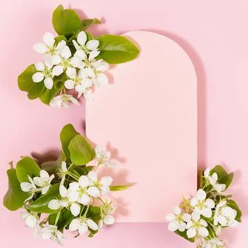 Summer pink blank rounded arch card for text template with white apple tree f Stock Photos