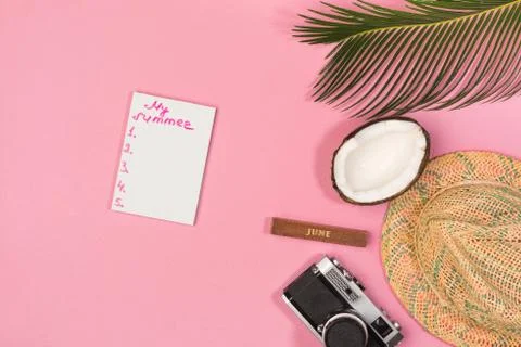 Summer plan, camera, hat,  on a pink background top view Stock Photos