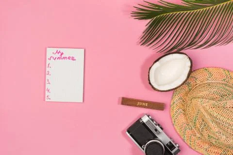 Summer plan, camera, hat,  on a pink background top view Stock Photos