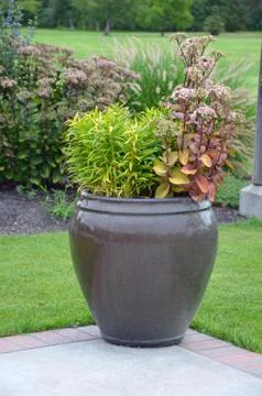 Summer planter on patio Stock Photos