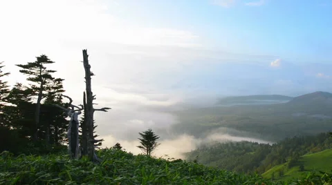 Summer of Plateau Video stock 50337837