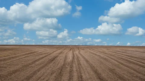 Summer plough-land time lapse scene Vídeos de archivo 252131020