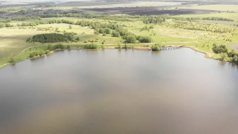 Summer pond Stock Footage 147101659