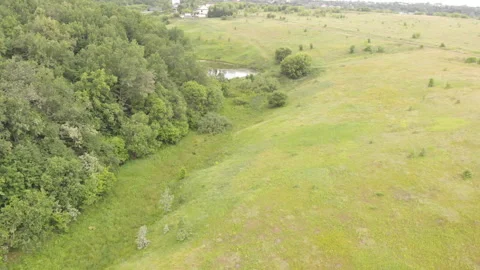 Summer pond Stock Footage 245499173