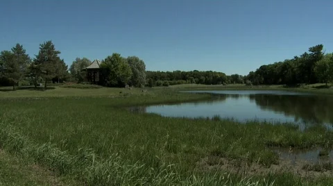 Summer Pond Panning Video stock 630574