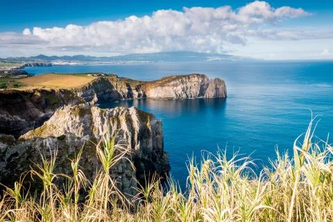 Summer postcard Stock Photos