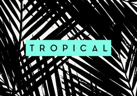 Summer Poster Design Stock-Illustration