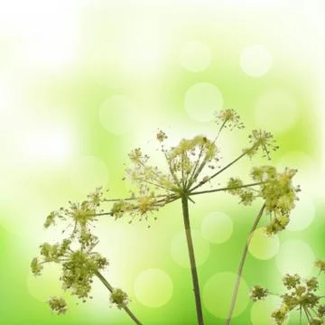 Summer Poster Stock Illustration