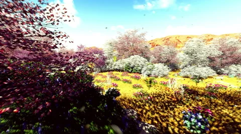 Summer Public Garden 4 Video stock 50390797