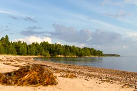 Summer quiet beach Stock Photos