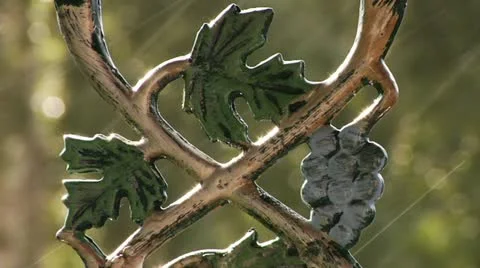 Summer rain against a forged railing Stock Footage