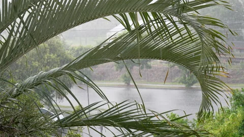 Summer rain at balcony Video stock 225056246
