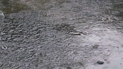Summer rain with bubbles dripping Video stock 343614425