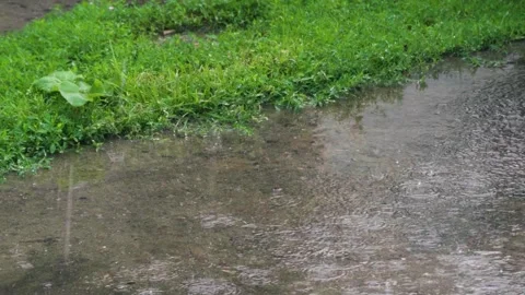 Summer rain with bubbles dripping Video stock 343614429