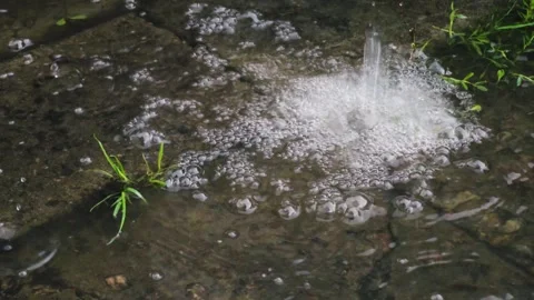 Summer rain with bubbles dripping Video stock 343614482