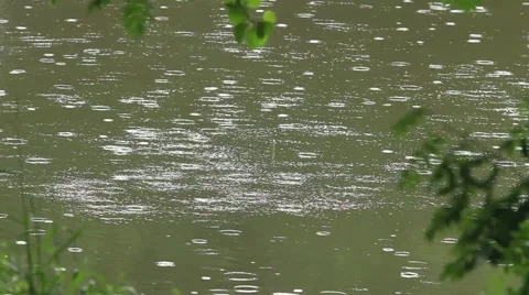 Summer rain circles on the water Stock Footage 67184666