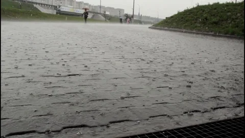 Summer rain in the city Stock Footage 101795992