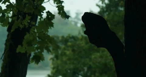 Summer Rain at a Cottage (Face in the Trees) Stock Footage 247854470