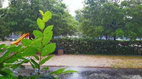 Summer rain in the daytime Stock Footage 156659020