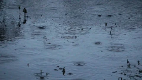 Summer rain drops falling in the water, reflecting late evening and sunset Stock Footage 111198497