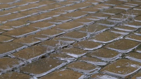 Summer rain drops on the sidewalk Stock Footage 108648380