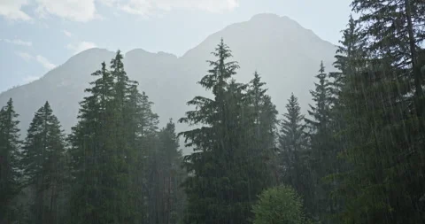 Summer rain falling over pine trees in the dolomites Видео 340791526